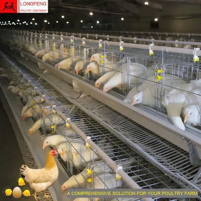 3 Tiers, 4 Poultry Farming Equipment a Type Battery Chicken Cage