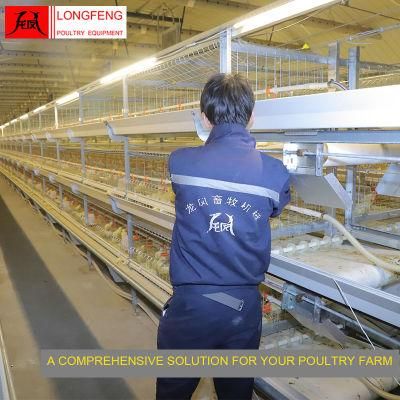 Hot Galvanized Longfeng Standard Packing Broiler Chicken Cage for Farms