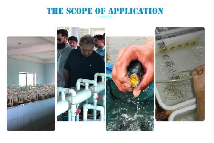 Pisciculture Incubation Pot Aquaculture Fish Hatchery Process Hatchery Device Equipment Supplies