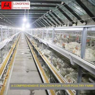 House Broiler Chicken Cage with Local After-Sale Service in Asia