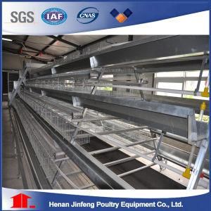 Automatic Chicken Cage System for Hot Sell