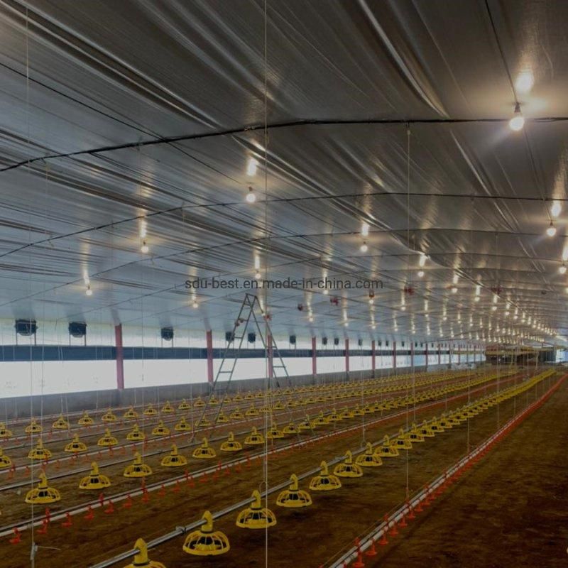 Side Wall Automatic Poultry House Curtain for Chicken Farming