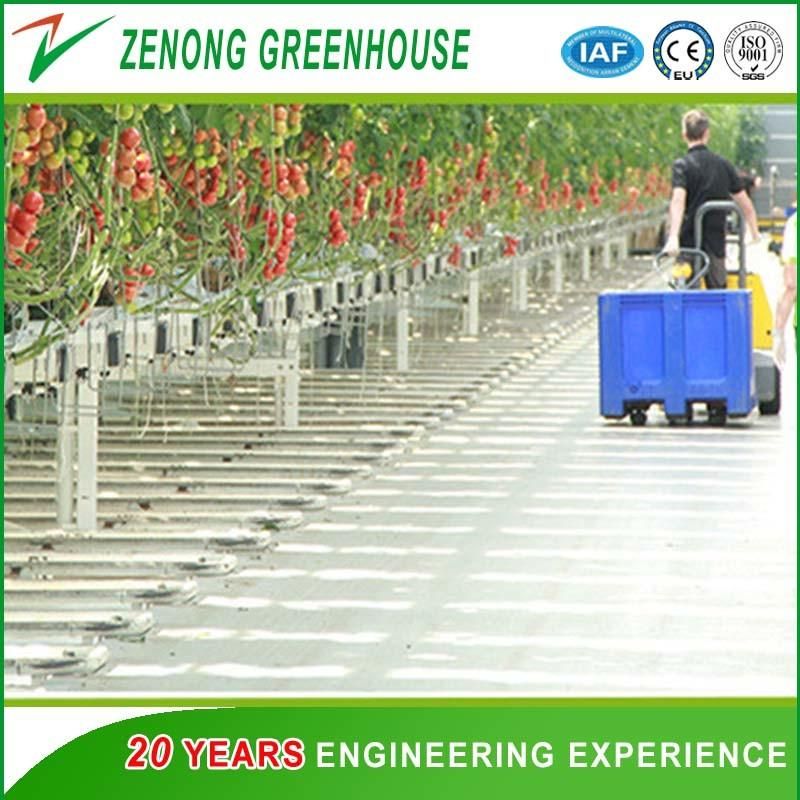 Greenhouse Picking Machine for Picking Vegetables/ Fruits/Tomato/Cucumber