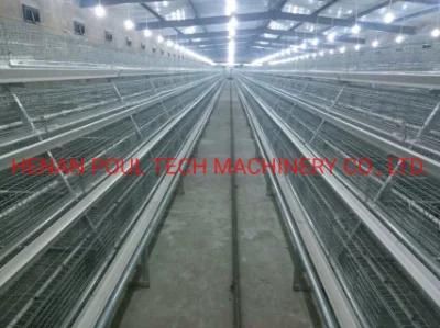 Hot Selling Type a Layer Cage Raising Equipment for Layer Chickens House