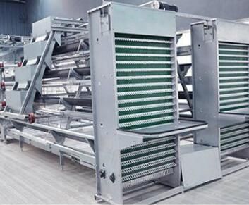 Automatic Quail Cage 6 Layer Egg Quail Cage/Poultry Farm House