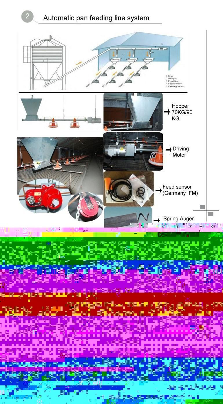 Cheap Used Automatic Poultry Equipment for Chicken Broiler House