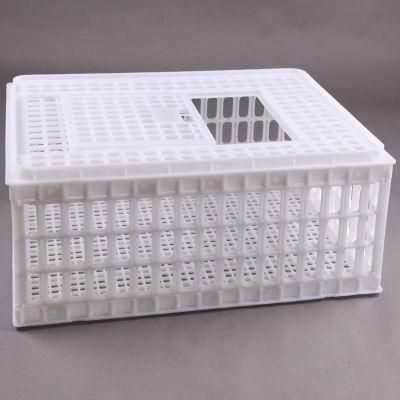 Chicken Farm Plastic Transport Cages for Layers/Broilers