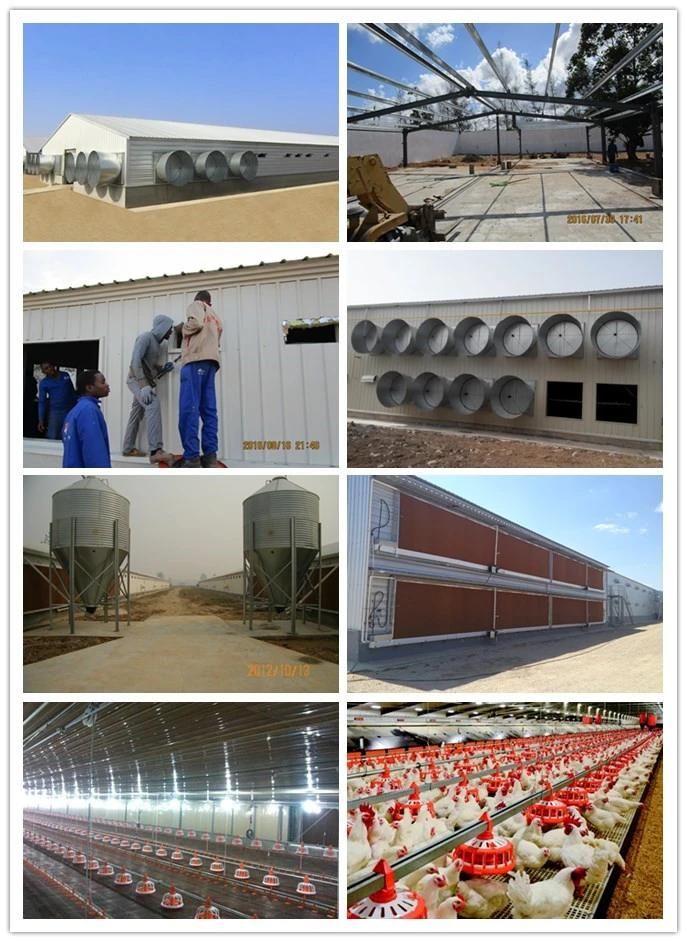 Prefabricated Poultry House with Poultry Equipment for Broiler Farm