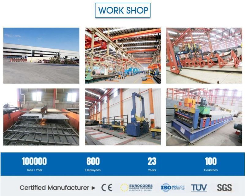 Broilers Automatic Chicken Feeding Equipment