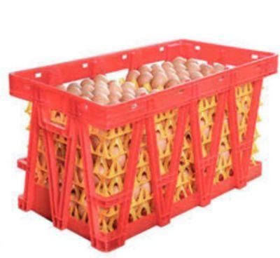 Egg Transport Cage for Layer Farm and Breeder Farms