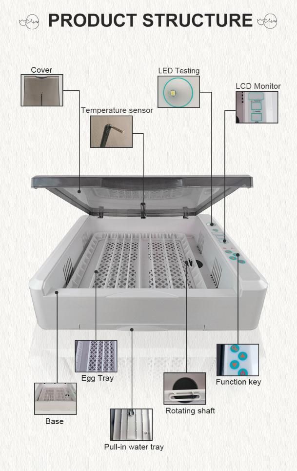 New Model 36 Egg Incubator 98% Hatching Rate Fully Automatic China