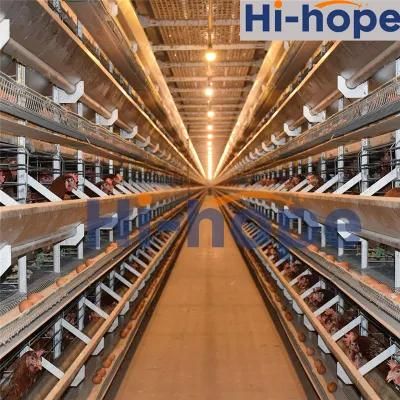 Automatic Battery Egg Hens Poultry Equipment Chicken Layer Cage