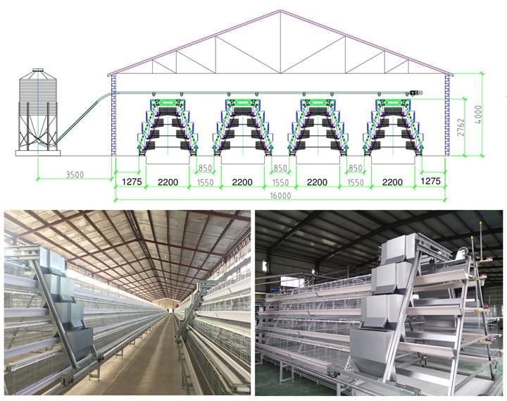 Layer Chicken Cage Poultry House Farm Equipment