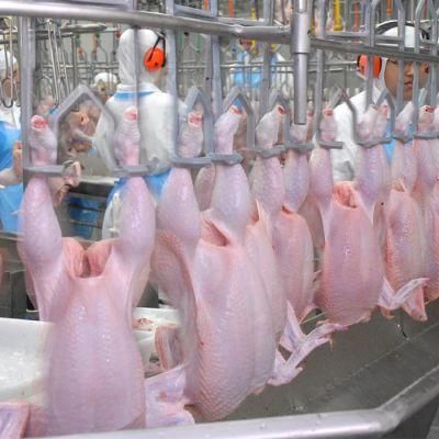 500bph 1000bph Chicken Slaughterhouse for Sale