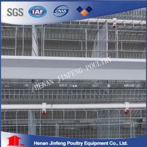 Automaitc Poultry Equipment Layer Chicken Cage