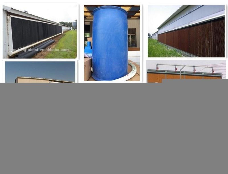 Good Price Automatic Chicken Broiler Farm Equipment for Poultry