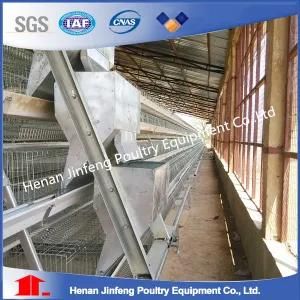 China Manufacturer Low Cost Full Automatic Chicken Raising Equipment