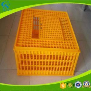 Collapsible Plastic Live Chicken Transport Cage Poultry Transport Crate