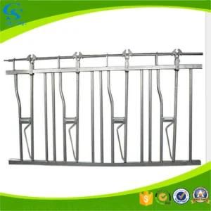 Cow Farm Cattle Equipment Used Headlocks for Farm