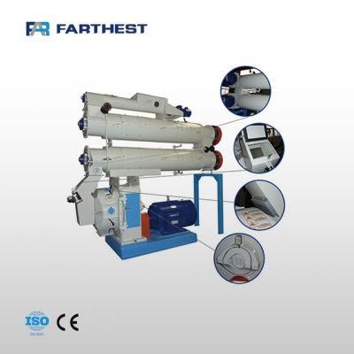 Small Feed Pellet Making Mill Pelletizer Machine for Carp Fish Breeding