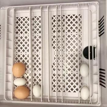 2019 New Listing Yz-36 Poultry Machine Full Automatic Egg Incubator