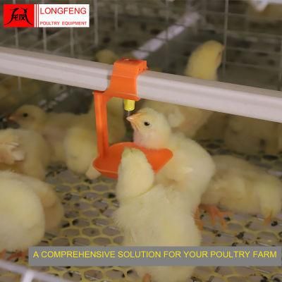 Longfeng Poultry Farm Broiler Chicken Cage for Farms Laying Hens/Layers/Egg