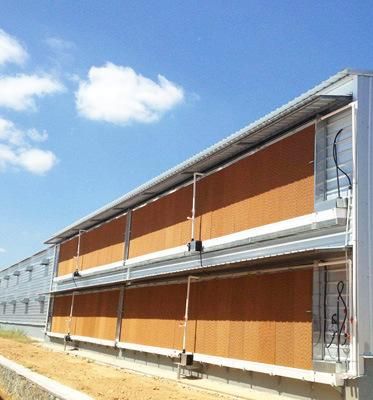High Quality Poultry Cooling System Equipment