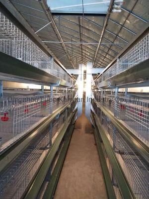 DIY Chicken Layer Cage for Broiler/ Chicken Poultry House