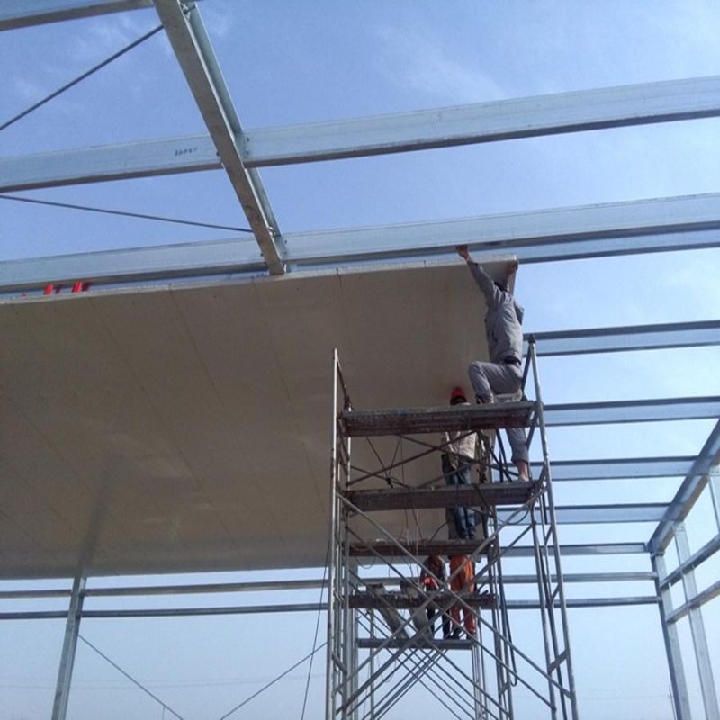 Prebab Automatic Steel Structure Poultry Farming House