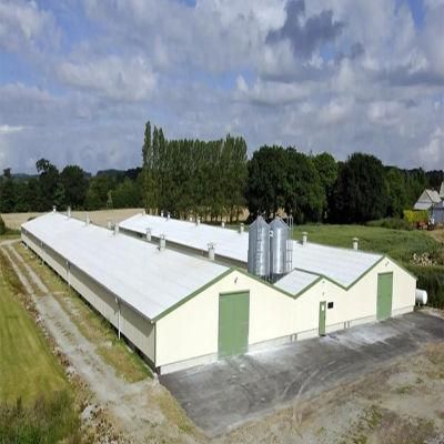 Automatic Equipment and Steel Structure for Poultry