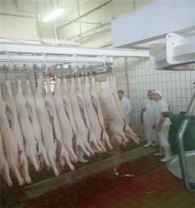 Slaughterhouse Equipment Pig Steam Scalder Scalding Tank Machine