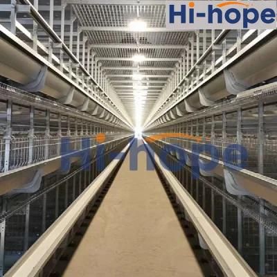 Chicken Farm Complete Layer Cage Equipment