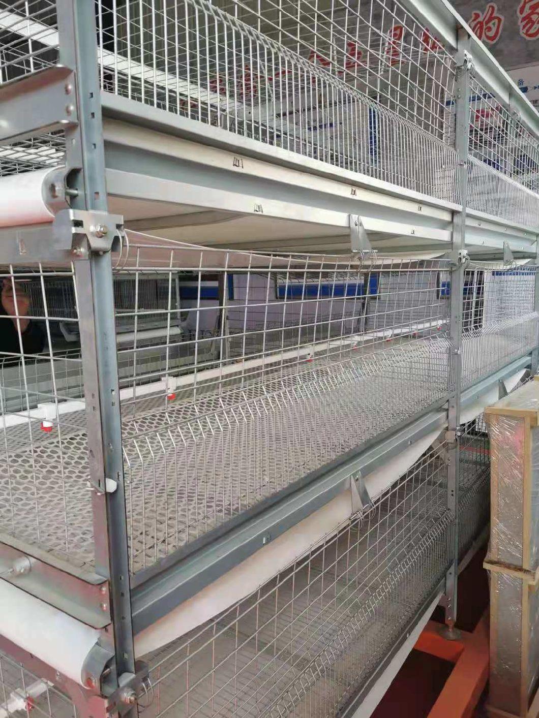 Broilerfactory Poultry Equipment Galvanized Cage H Type Cage