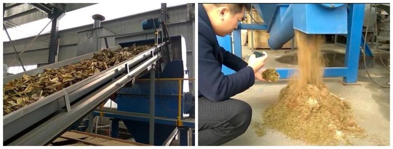 Processing Bulk Straw Into Sawdust 8mm Corn Straw Crusher