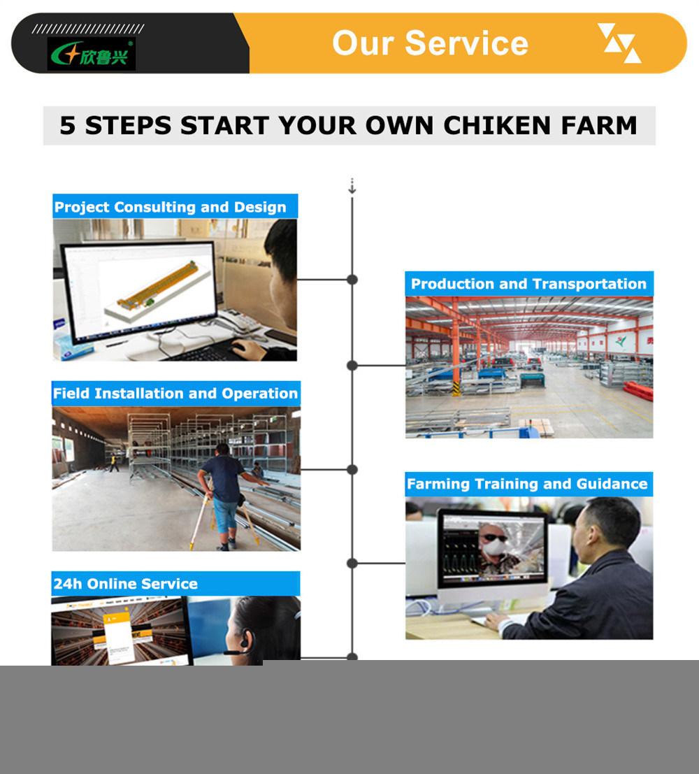 Automatic Chicken Farm Poultry Cage System Layer Poultry Cage