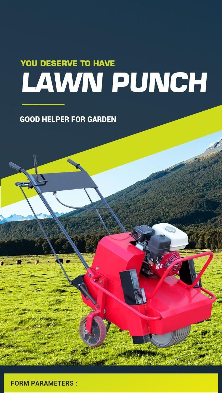 Suitable for Farm Garden Lawn Puncher Scarifier Lawn Aerator