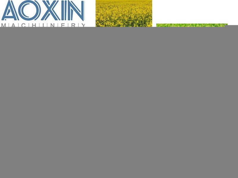 Aoxin 9yfq-1.9 Agricultural Rectangular Square Corn Paddy Hay Baler Balers