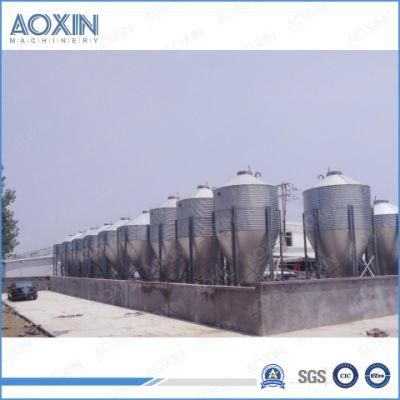 Automatic Feeding System for Pig Farm Construction