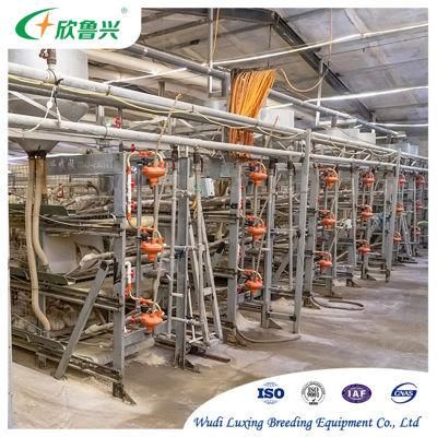 Chicken Cage Ideas Full Automatic Broiler House Chicken Automatic Feed System on Hot Selling