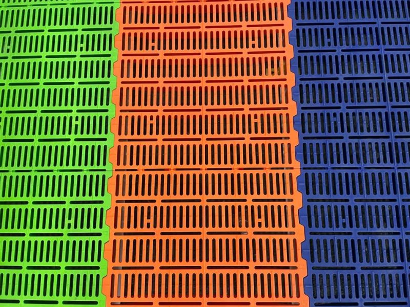 Original PP Material Slatted Plastic Floor for Weaning Pig/Sheep/Goat/Cattle
