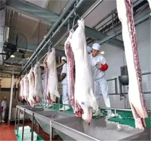 Small Slaughter House Equipment Pig Bleeding Shackle Chain