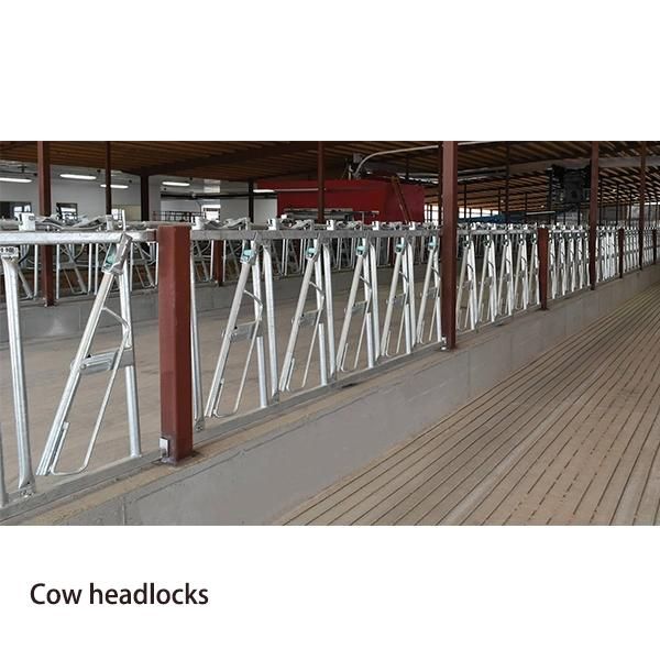 High Quality Cheap Galvanized Calf Cattle Self Locking Panels
