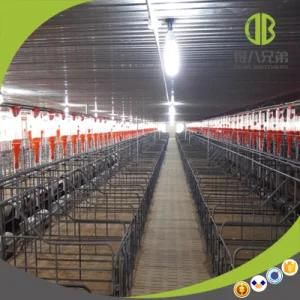 Gestation Stall for Sows/Gestation Crate/Individual Stall