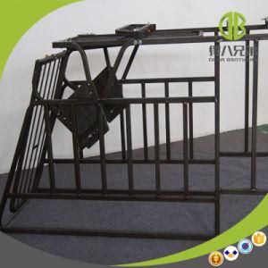 Hot Sale Pig Stall High Quality Free Access Individual Stall or Free Access Gestation Stall