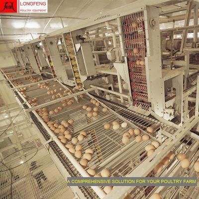 Local After-Sale Service in Asia Farm Chicken Cage Poultry Feeding Equipment