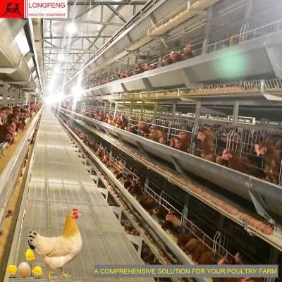 Customized Automatic Farming Equipment 1 Year Warranty Poultry Farms Egg Chicken Cage