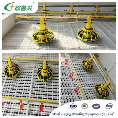 Automatic Poultry Feeding Drinking System Ground Floor Raising Keeping Equipment for Chicken Farm House