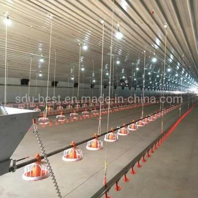 Chicken Farm Supplies Automatic Poultry Farming Equipment