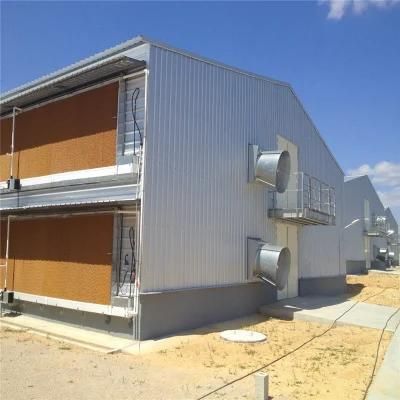 Scientific Feeding Quickly Built Factory Price Poultry House Equipment