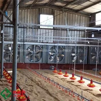 Automatic Poultry Broiler Feeder/ Pan Feeding and Drinking System for Broiler House /Farm